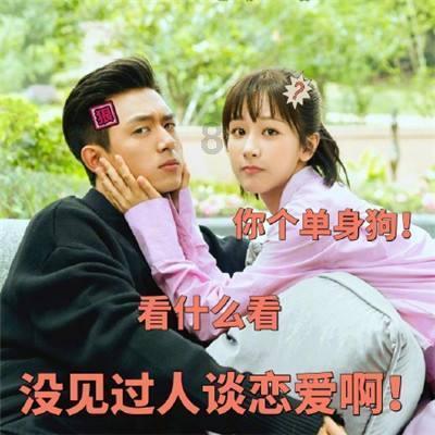 野外生存游戏